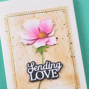 Memory Box Everyday Sentiment Die Sending Love