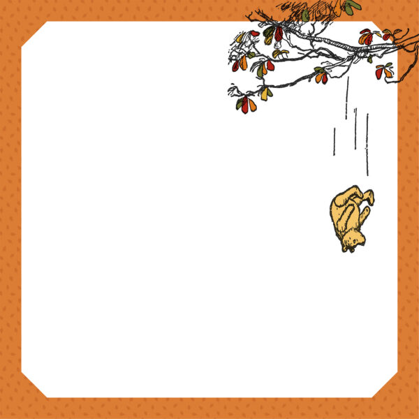 Echo Park WTP Autumn 12X12 Falling For Winnie