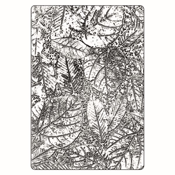 Sizzix 3-D Texture Fades Embossing Folder Foliage Large/A5 By Tim Holtz Sizzix 3-D Texture Fades Embossing Folder Foliage Large/A5 By Tim Holtz