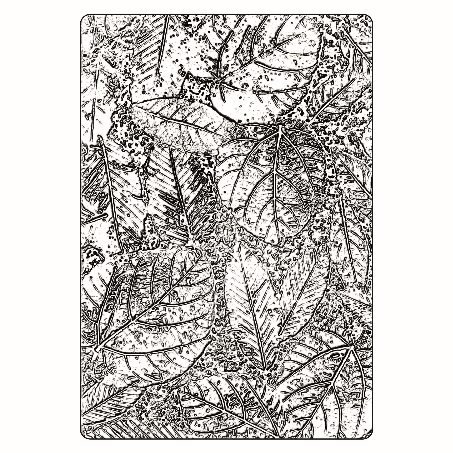 Sizzix 3-D Texture Fades Embossing Folder Foliage Large/A5 By Tim Holtz