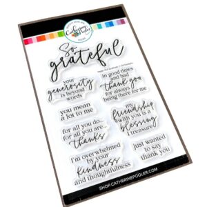 Catherine Pooler Stamp Inside Out Gratitude Sentiments