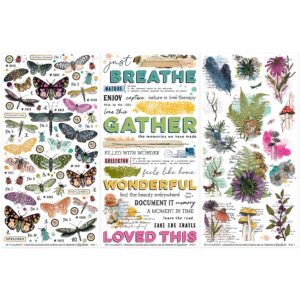 49 & MARKET VB WILLOW GROVE ESSENTIAL RUB-ON TRANSFERS