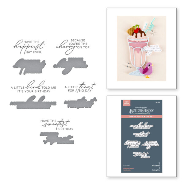 Spellbinders Fountain Wishes Sentiments Betterpress Plate & Die Set From the Happier Hour Collection