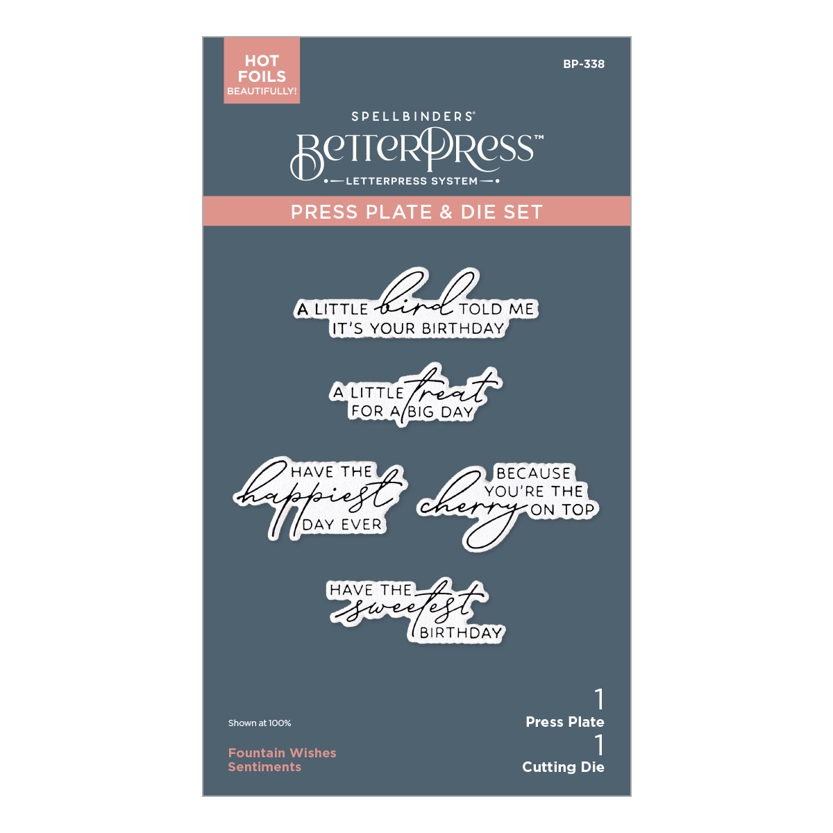 Spellbinders Fountain Wishes Sentiments Betterpress Plate & Die Set From the Happier Hour Collection