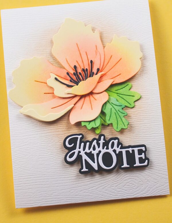 Memory Box Everyday Sentiment Die Just A Note