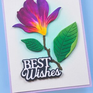 Memory Box Everyday Sentiment Die Best Wishes