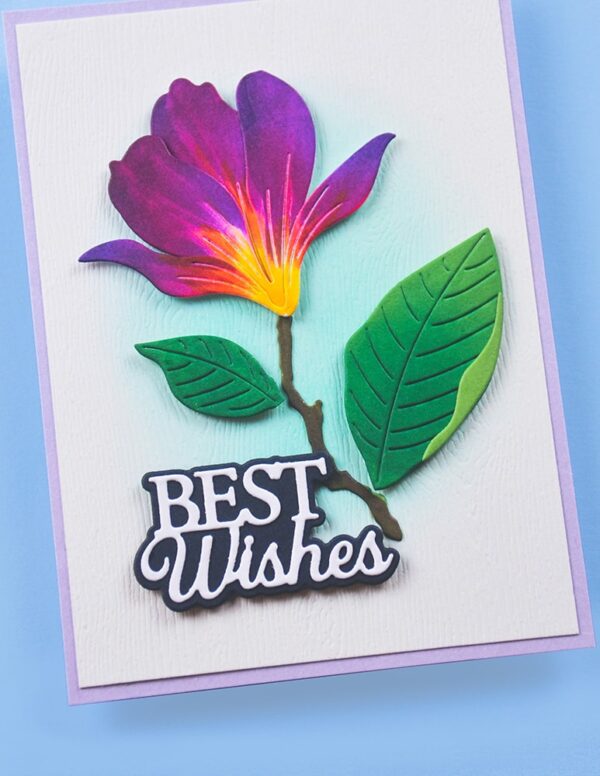 Memory Box Everyday Sentiment Die Best Wishes