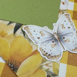 Paper Roses Bees & Butterflies