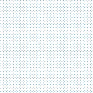 Echo Park Snow Days 12 X12 3X4 Journaling Cards