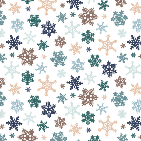 Echo Park Snow Days 12 X12 Snowflakes Falling