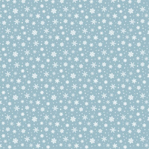 Echo Park Snow Days 12 X12 Snowglobe Flakes