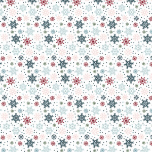 Echo Park Winter Fun 12X12 Winter Is Coming Snowflakes