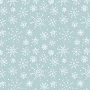 Echo Park Winter Fun 12X12 Winter Scenery Snowflakes