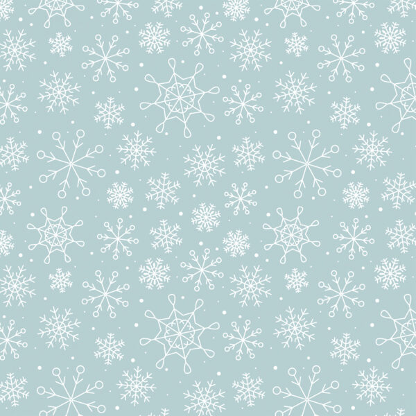 Echo Park Winter Fun 12X12 Winter Scenery Snowflakes