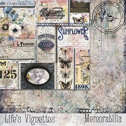 BLUE FERN LIFE'S VIGNETTES 12X12 12X12 MEMORABILIA