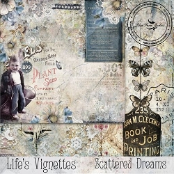 BLUE FERN LIFE'S VIGNETTES 12X12 SCATTERED DREAMS