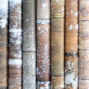 CRAFTERS CONSORTIUM 12X12 FROSTED WOOD