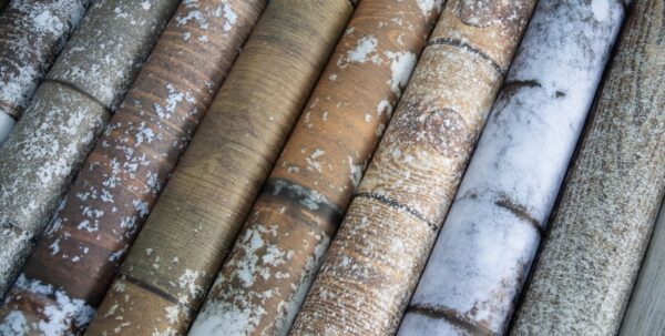 CRAFTERS CONSORTIUM 12X12 FROSTED WOOD