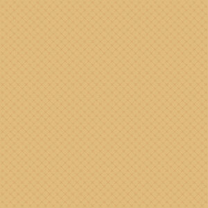 Carta Bella Feels Like Home 12X12 Vintage Roses