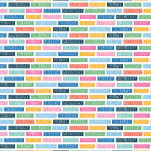 Echo Park Plan On It 12X 12 Days of the Week Labels