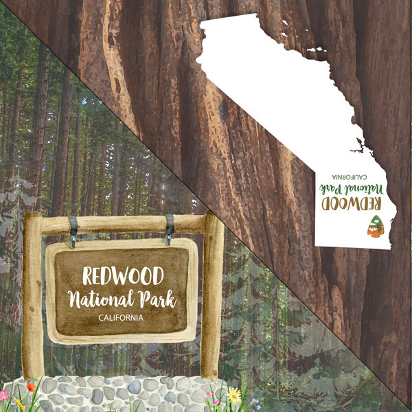 SCRAPBOOK CUSTOMS 12X12 REDWOOD NATIONAL PARK