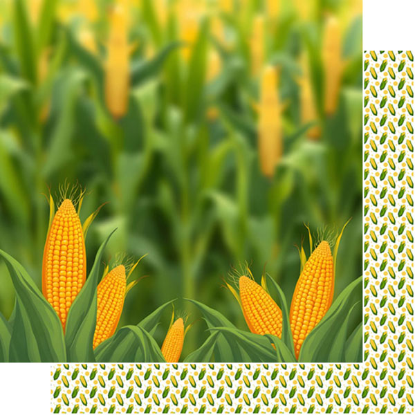 SCRAPBOOK CUSTOMS 12X12 LOCAL CORN