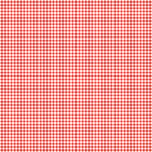 SCRAPBOOK CUSTOMS 12X12 STRAWBERRY GINGHAM