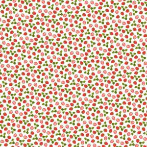 SCRAPBOOK CUSTOMS 12X12 STRAWBERRY GINGHAM