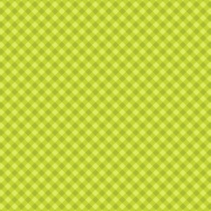 SCRAPBOOK CUSTOMS 12X12 APPLE GINGHAM