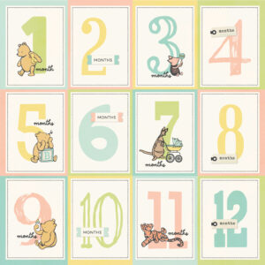 Simple Stories Say Cheese Classic Pooh Baby 12X12 3X4 Month Elements