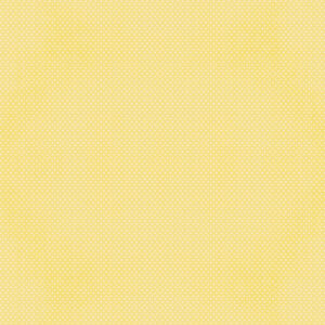 Simple Stories Say Cheese Classic Pooh Baby 12X12 Buttercup Gingham