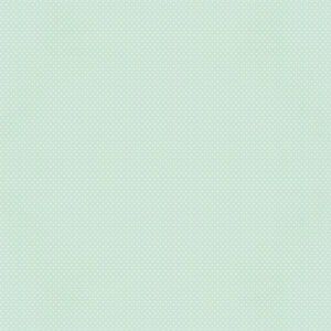 Simple Stories Say Cheese Classic Pooh Baby 12X12 Mint Gingham