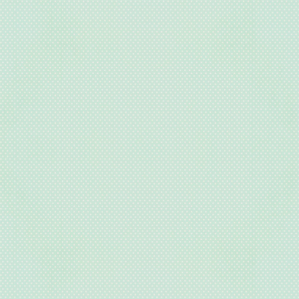 Simple Stories Say Cheese Classic Pooh Baby 12X12 Mint Gingham