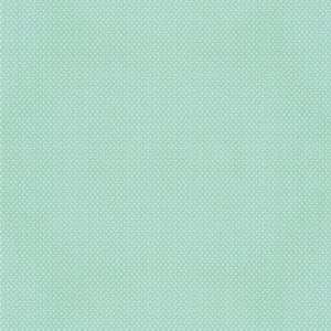Simple Stories Say Cheese Classic Pooh Baby Robin's Egg Gingham