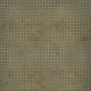 49 & Market 12X12 Nostalgic Memories Solids 4