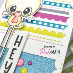 PINK & MAIN LARGE SENTIMENT STRIP DIES