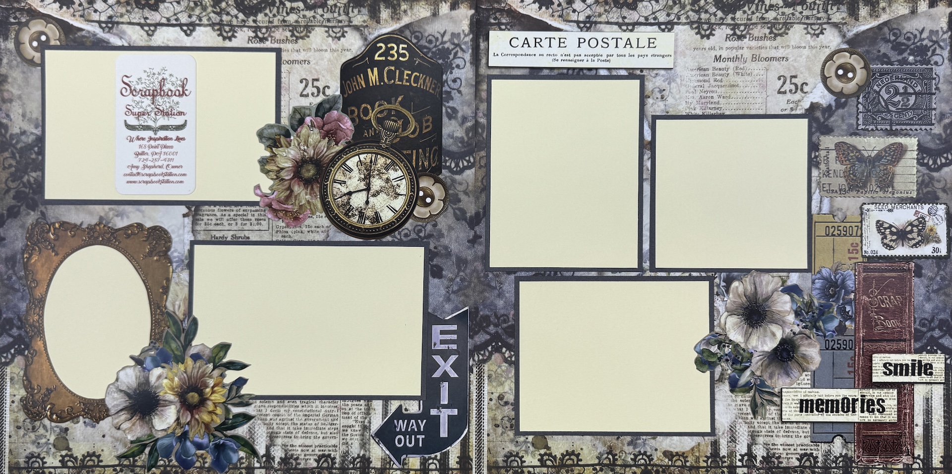 Blue Fern Life's Vignettes