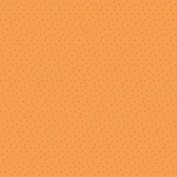 Echo Park Field Trip 12X12 Field Trip Elements