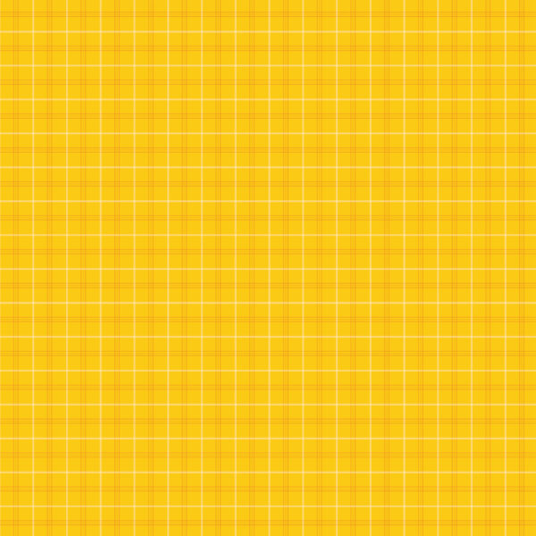 Echo Park Field Trip 12X12 Neon Chalkboard Doodles