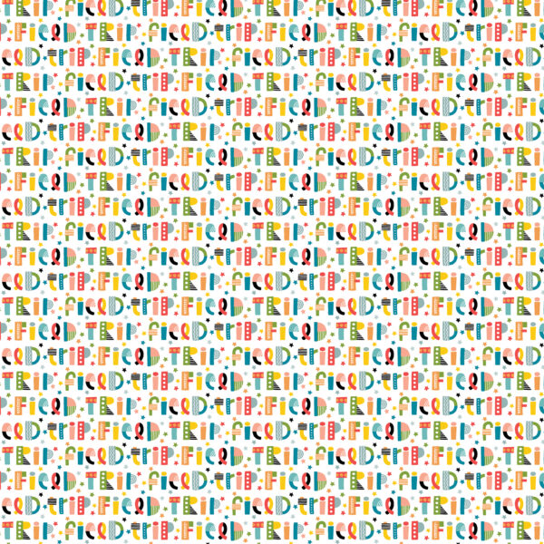 Echo Park Field Trip 12X12 Funky Field Trip Fun