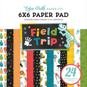Echo Park Field Trip 6X6 Paper Pad