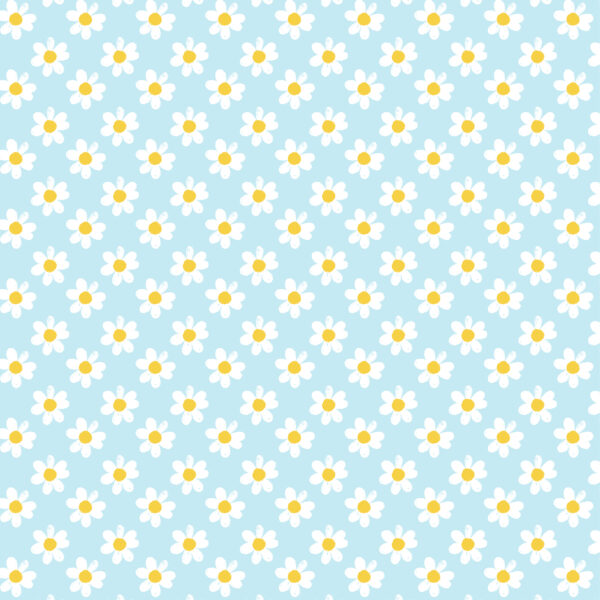 Echo Park You Are My Sunshine 12X12 White Daisies