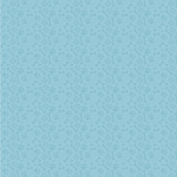 Echo Park Party Animal 12X12 Birthday Dog