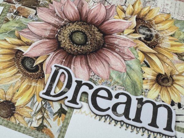 49 & Market Whispering Way Quad Layout