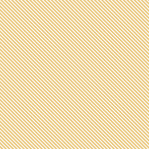 Bella Boulevard Let's Celebrate Talk of the Party