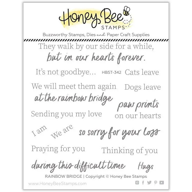HONEYBEE STAMP MINI MESSAGES: SASSY BIRTHDAY