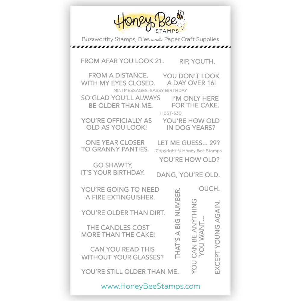 HONEYBEE STAMP MINI MESSAGES: SASSY BIRTHDAY