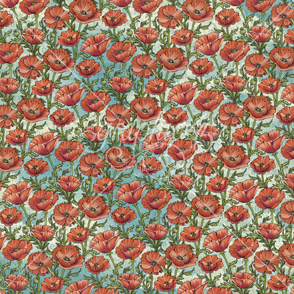 Graphic 45 Wonder of Oz 12X12 Field of Poppies
