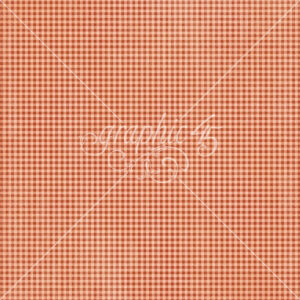 Graphic 45 Wonder of Oz 12X12 Poppy Red Pattern & Solid Sheet