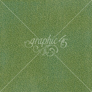 Graphic 45 Wonder of Oz 12X12 Emerald Green Pattern & Solid Sheet